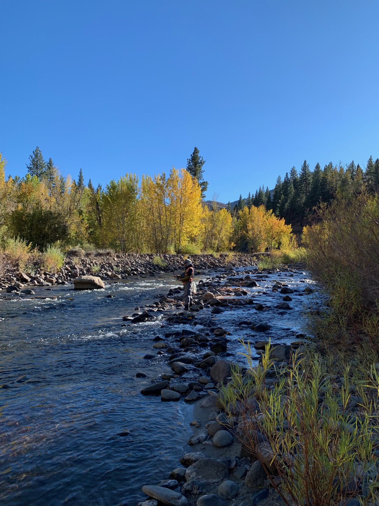 East Fork Carson River Fly Fishing