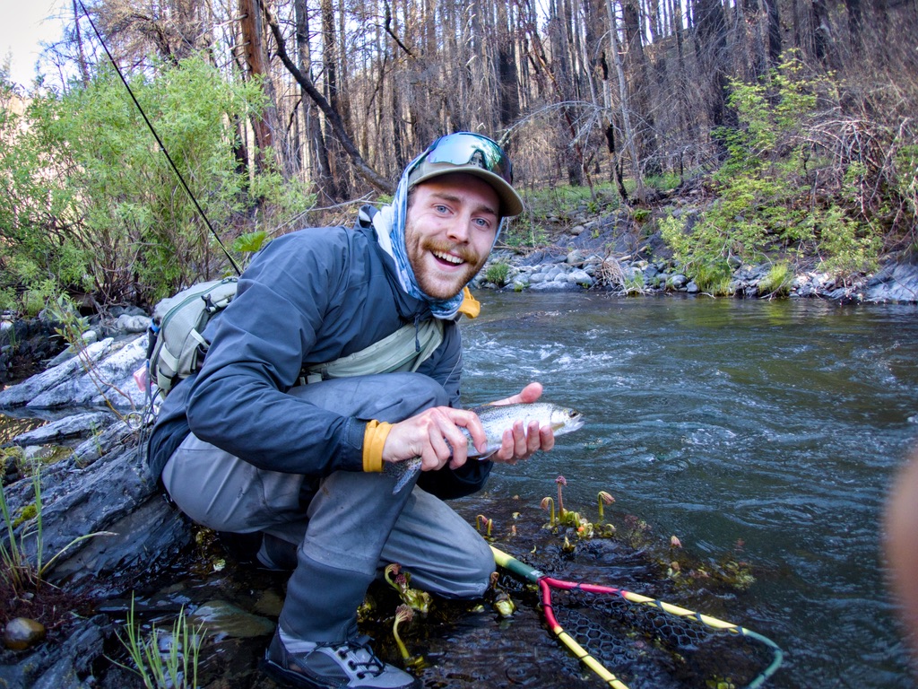Wild Rainbows